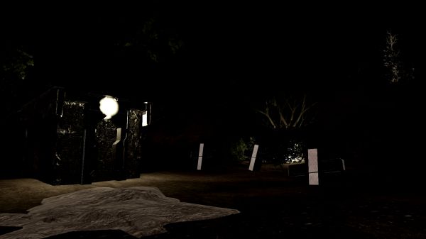 The Manor