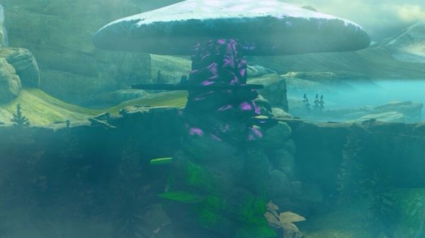 Mushroom Forest