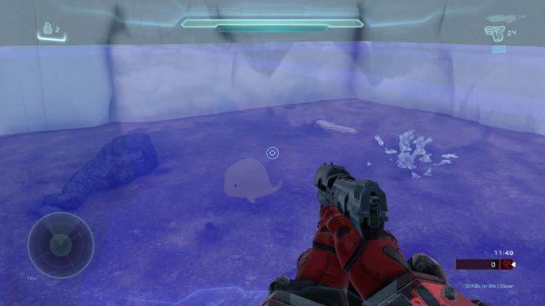 ARCTIC POND