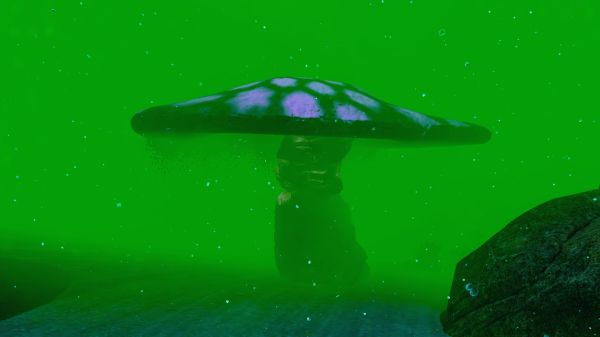 Spore
