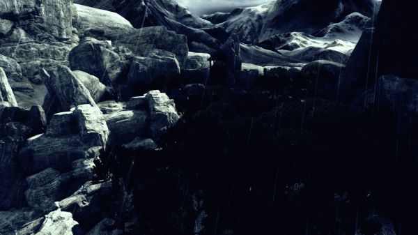 The Forest