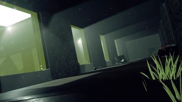 The Remaining