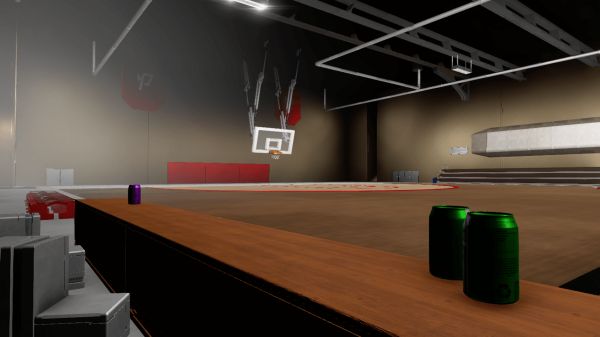 The Gymnasium
