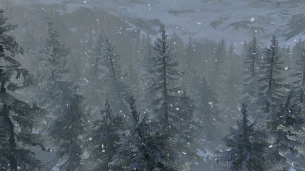 Hunt