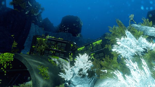 Hide and Sea