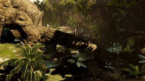 Jungle Creek