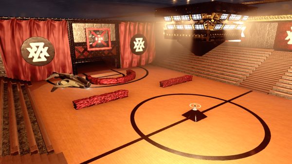 Waspketball