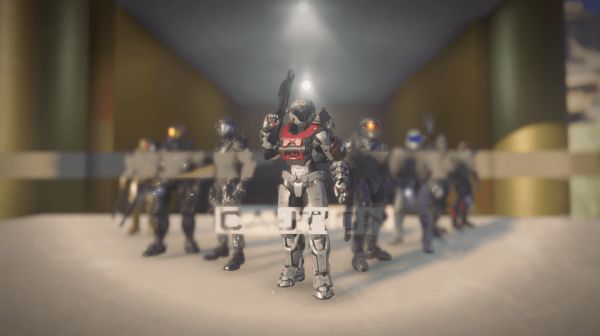 Survive The Court