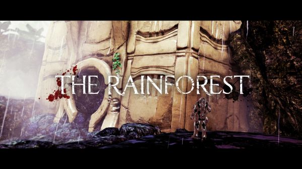 The Rainforest