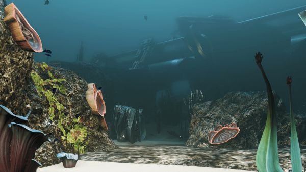 Nautilus