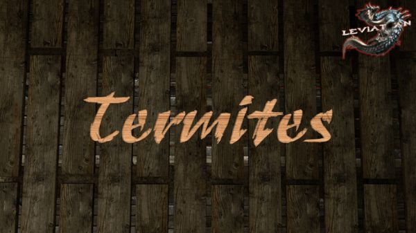 .Termites.