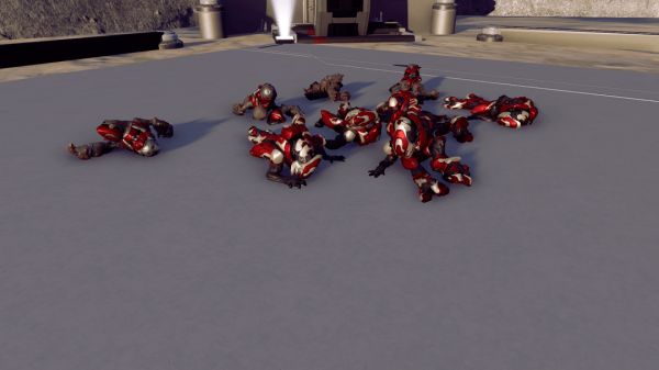 Covenant Bodies