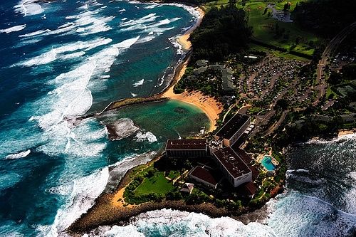 Turtle Bay