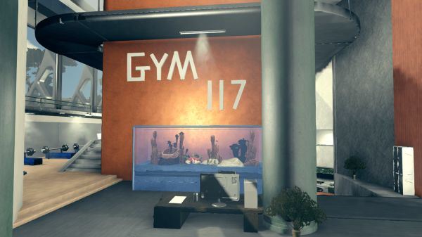 Gym 117