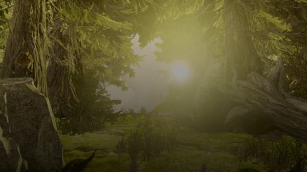 Forest (Dawn)