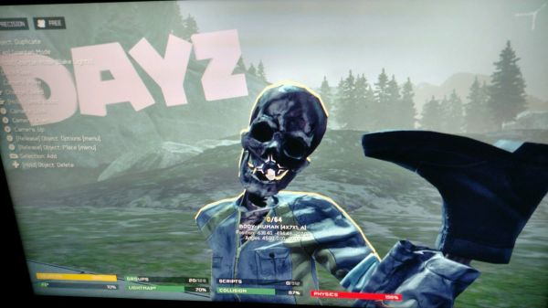 The Cringe: DayZ