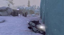 Winter Contingency