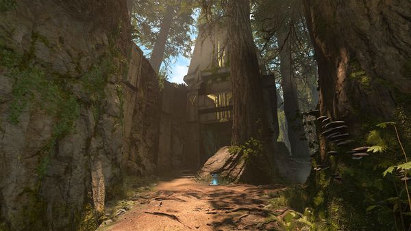 Forest