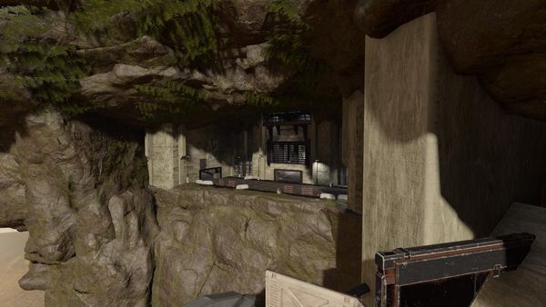 Rat's nest